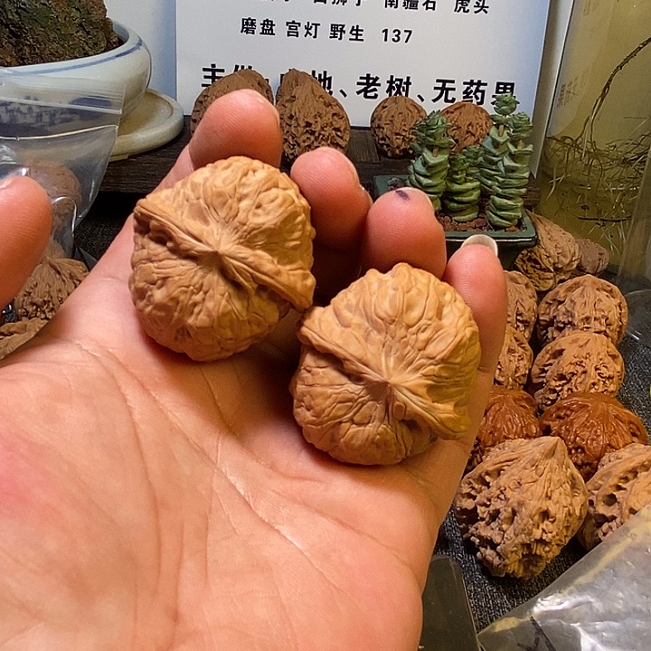 油***叔核桃全品无修无药南瓜39