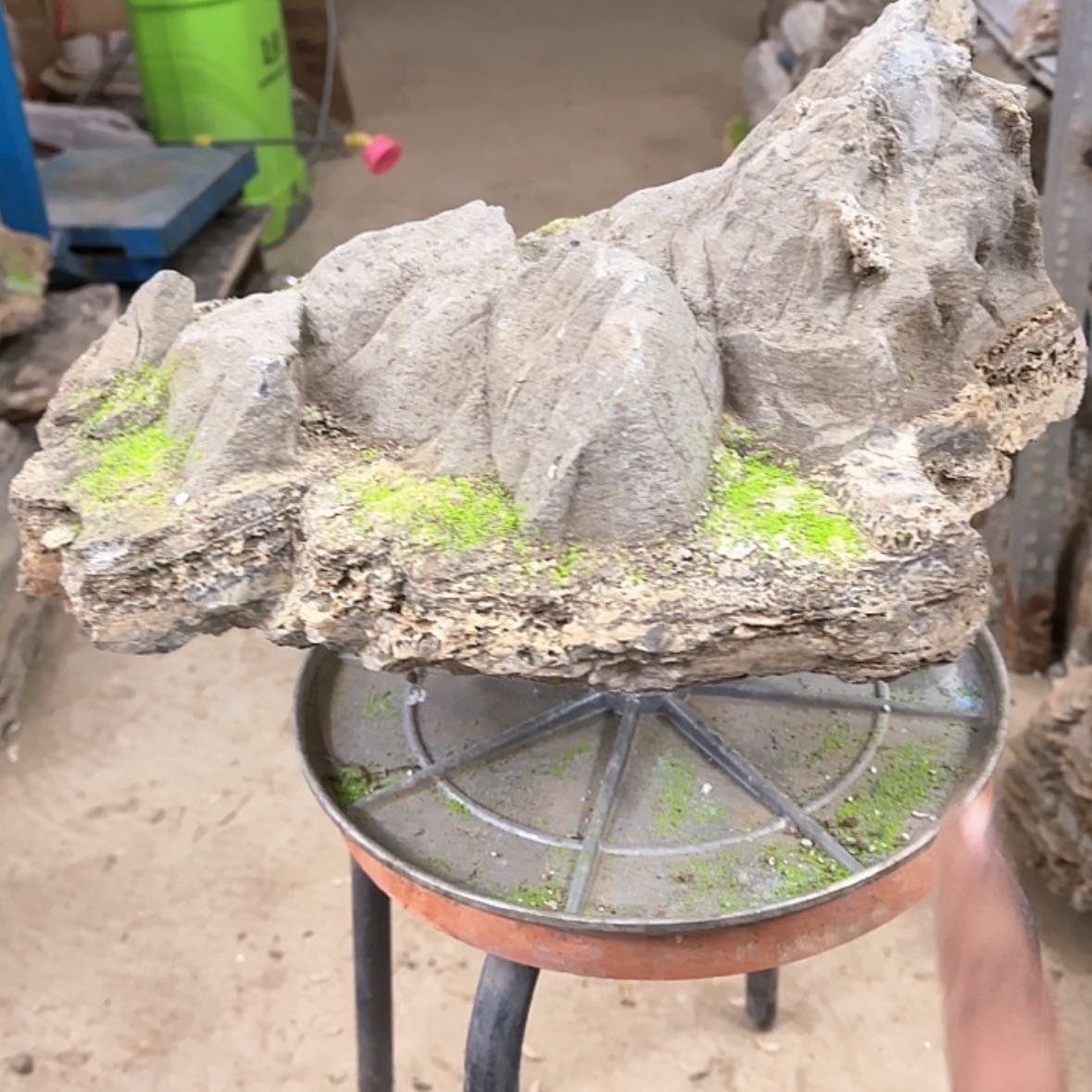 【闪购商品】香榧木农****主这么晚的天气还是不错呢