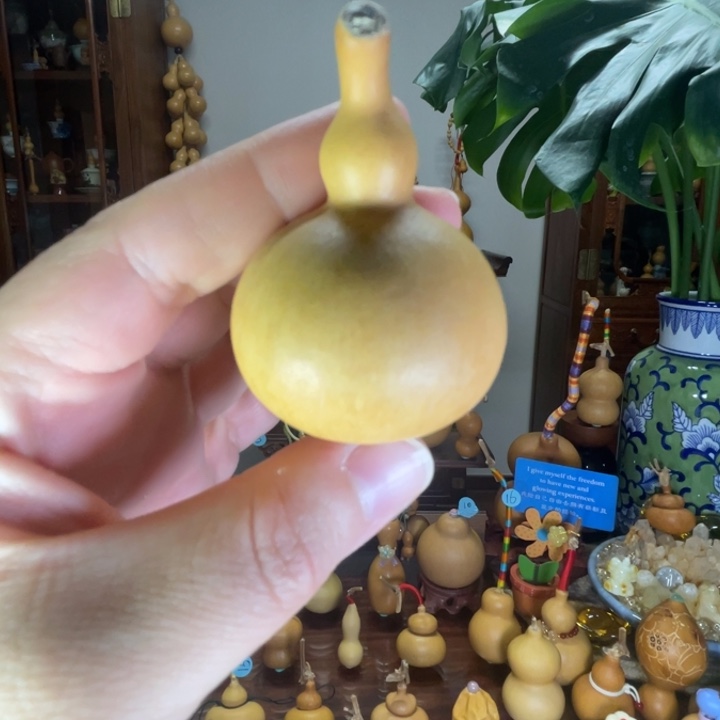 开播福福葫芦胖胖