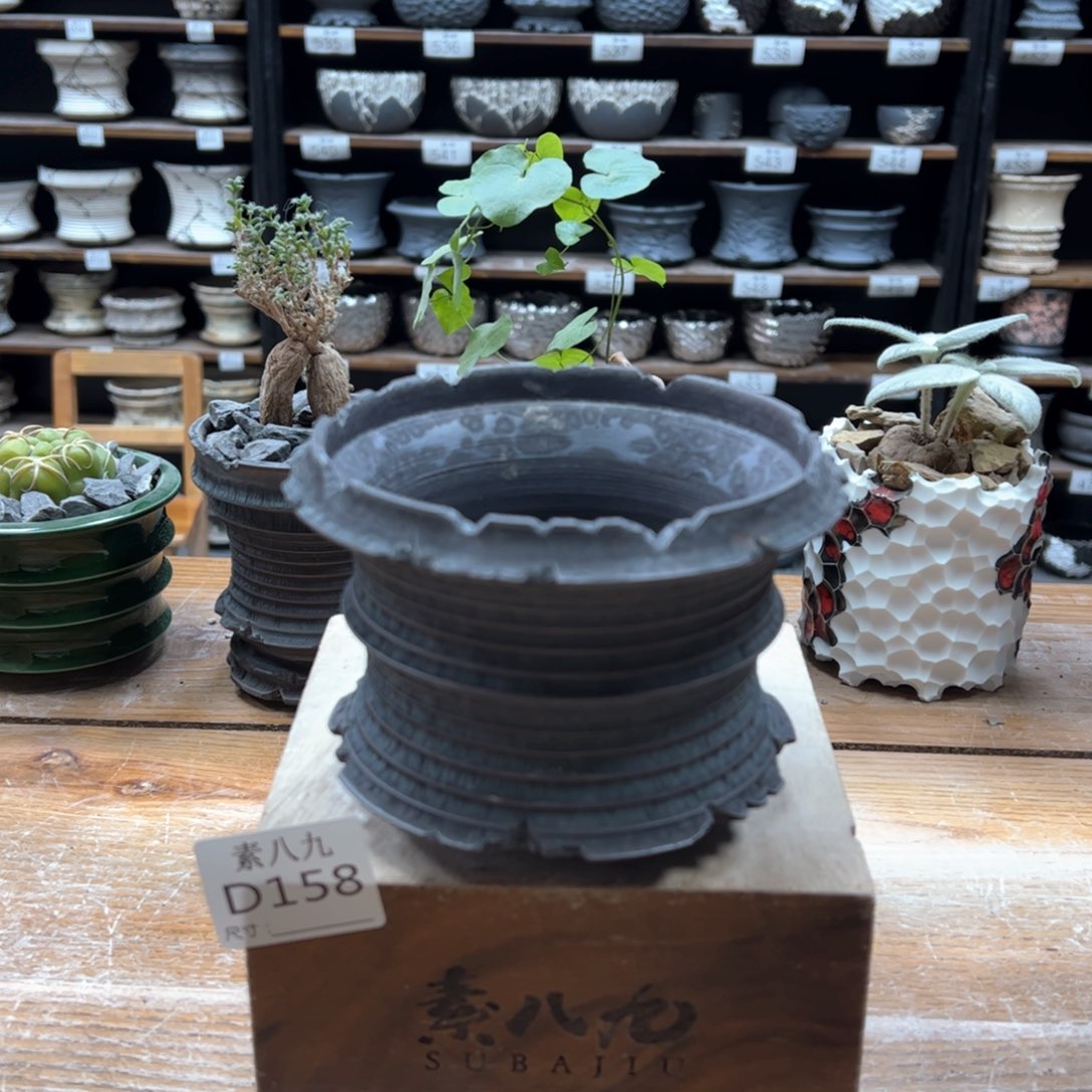 素八九陶瓷内口11.5高9.5