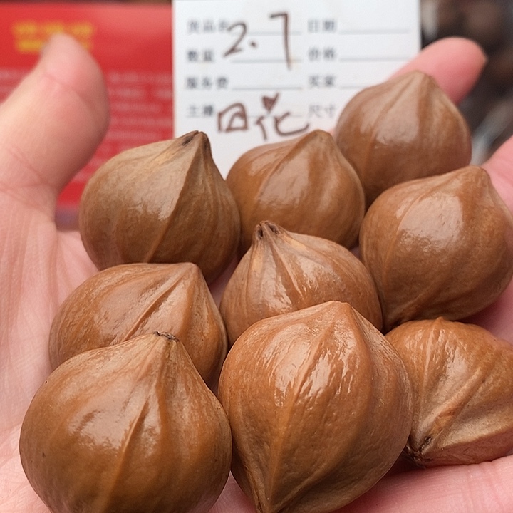 手串/手链橄榄核知*