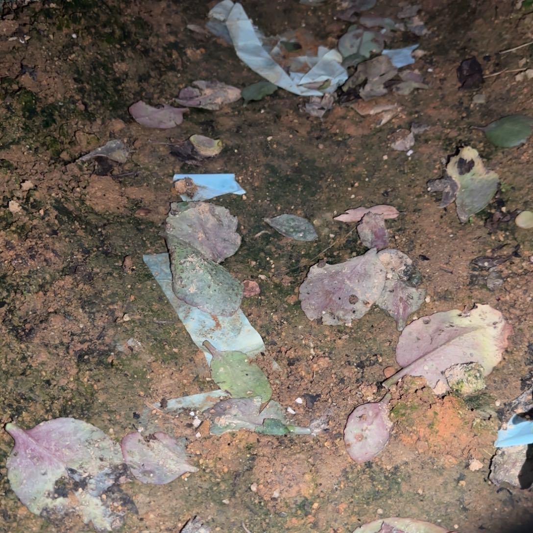 完全开放11111111111