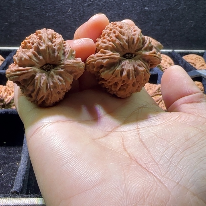 l***w吊坠桃核核桃核桃