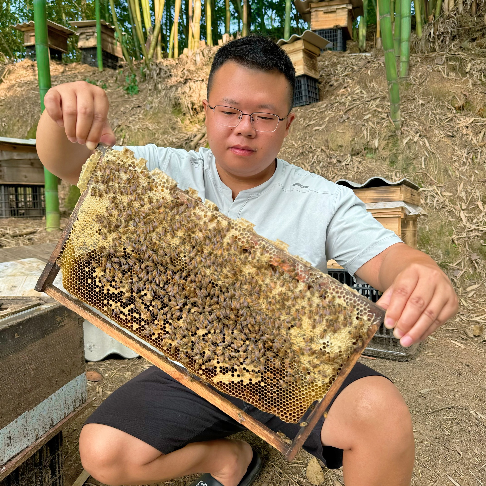 [保真保纯]农村压榨土蜂蜜