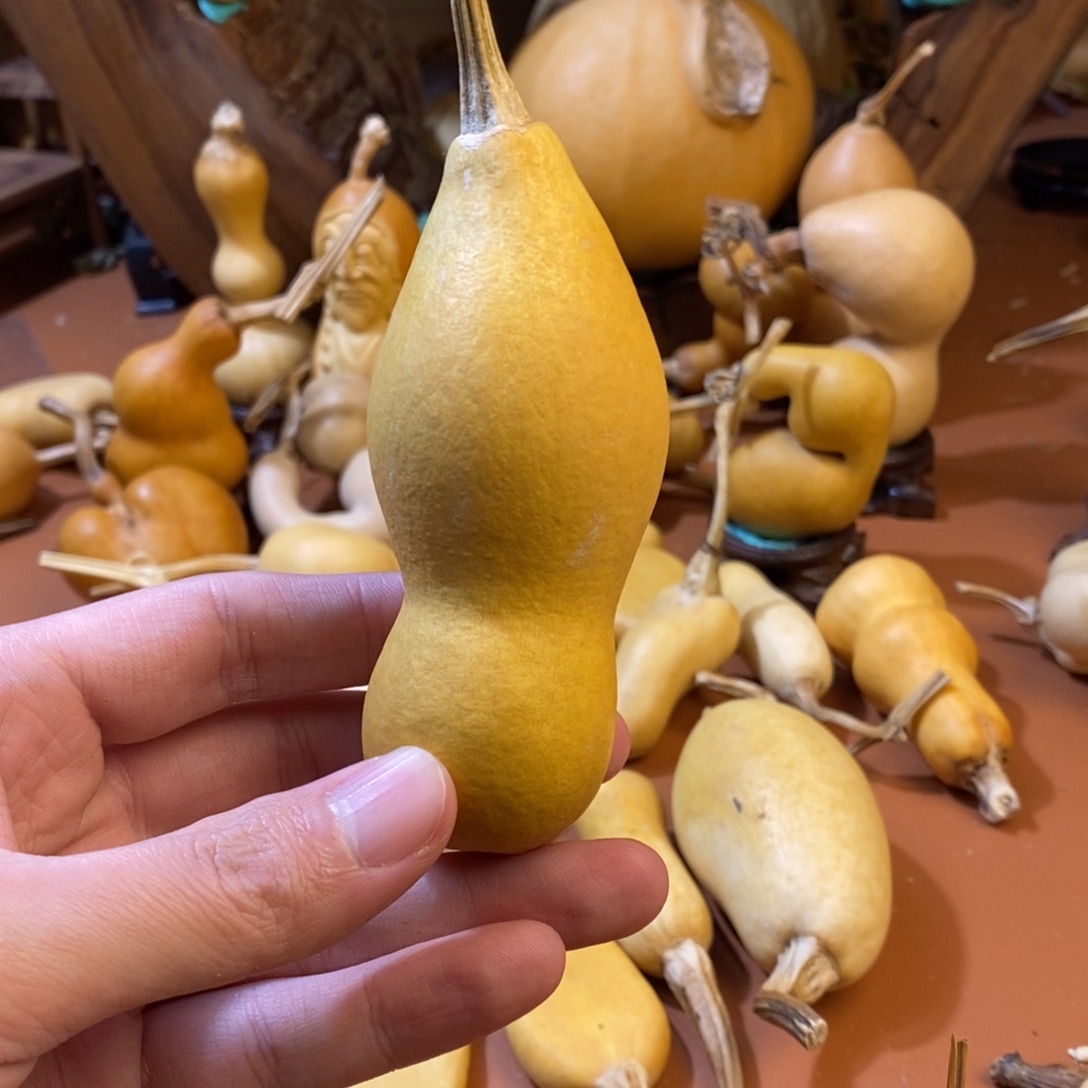 小***家教练教练教练教练经理