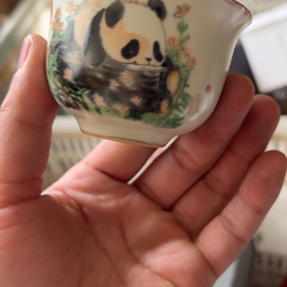 【闪购商品】5555555555555558585