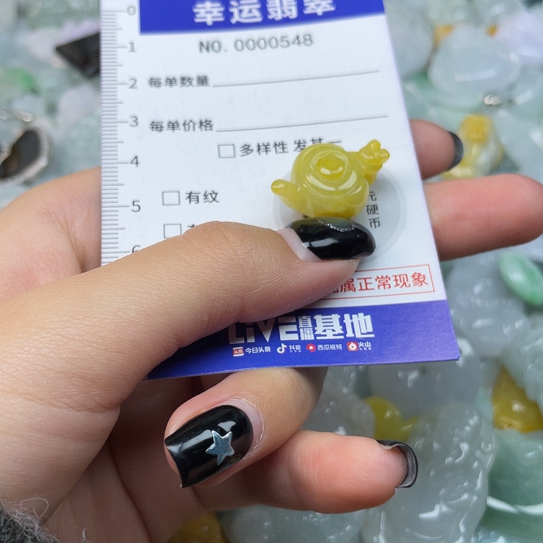 翡翠未镶嵌颈饰548