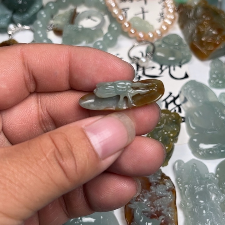 翡翠未镶嵌颈饰只了