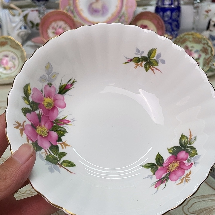 碟维多利亚欧洲中古