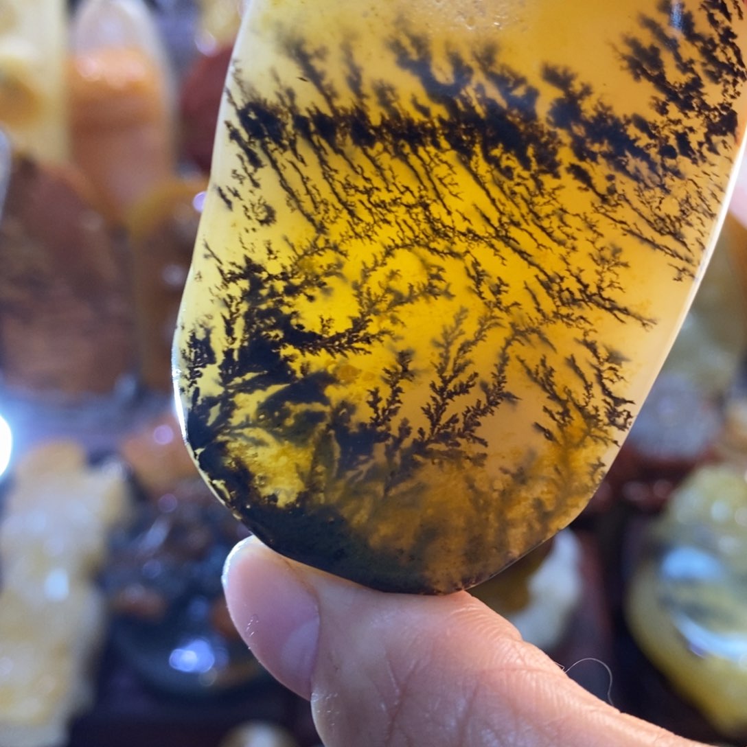 石英质玉（黄龙玉）颈饰未镶嵌