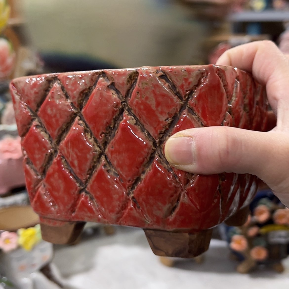 【闪购商品】红陶福利