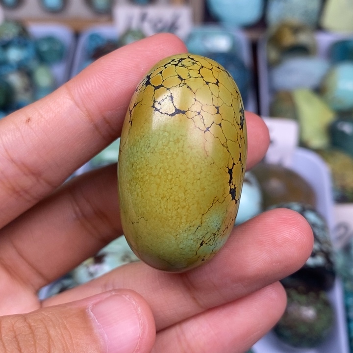 未镶嵌绿松石颈饰