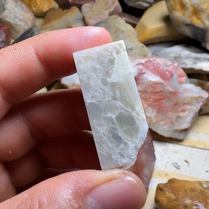 天***天寿山石寿山石的种类