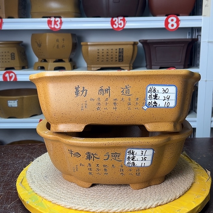 紫砂花盆你在一起