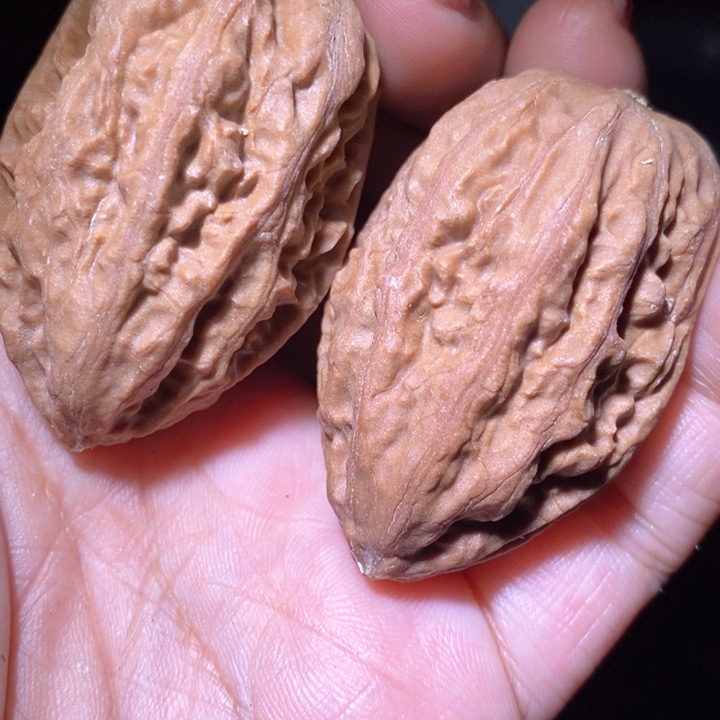 文玩核桃把件东北野生楸子小美40