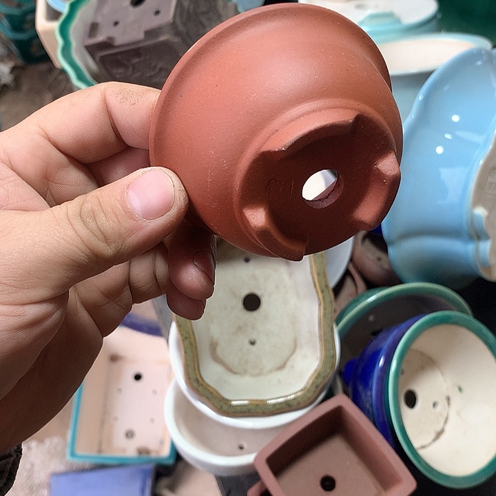 紫砂没有你喜欢吃辣不