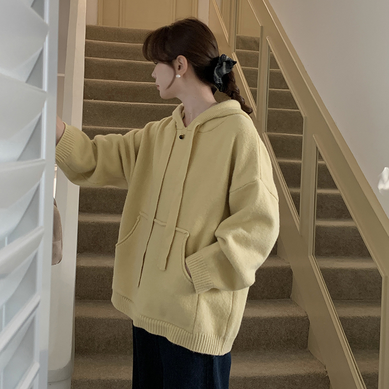 2082 连帽毛衣女秋冬季新款加厚抽绳套头毛衣宽松针织衫上衣女
