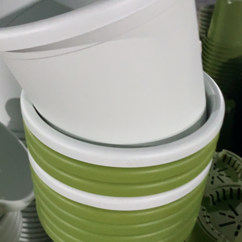 树脂2加奶白无托5个