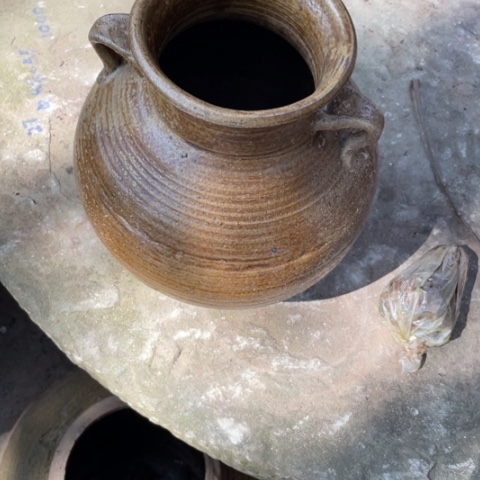 种草种菜种花种花种花