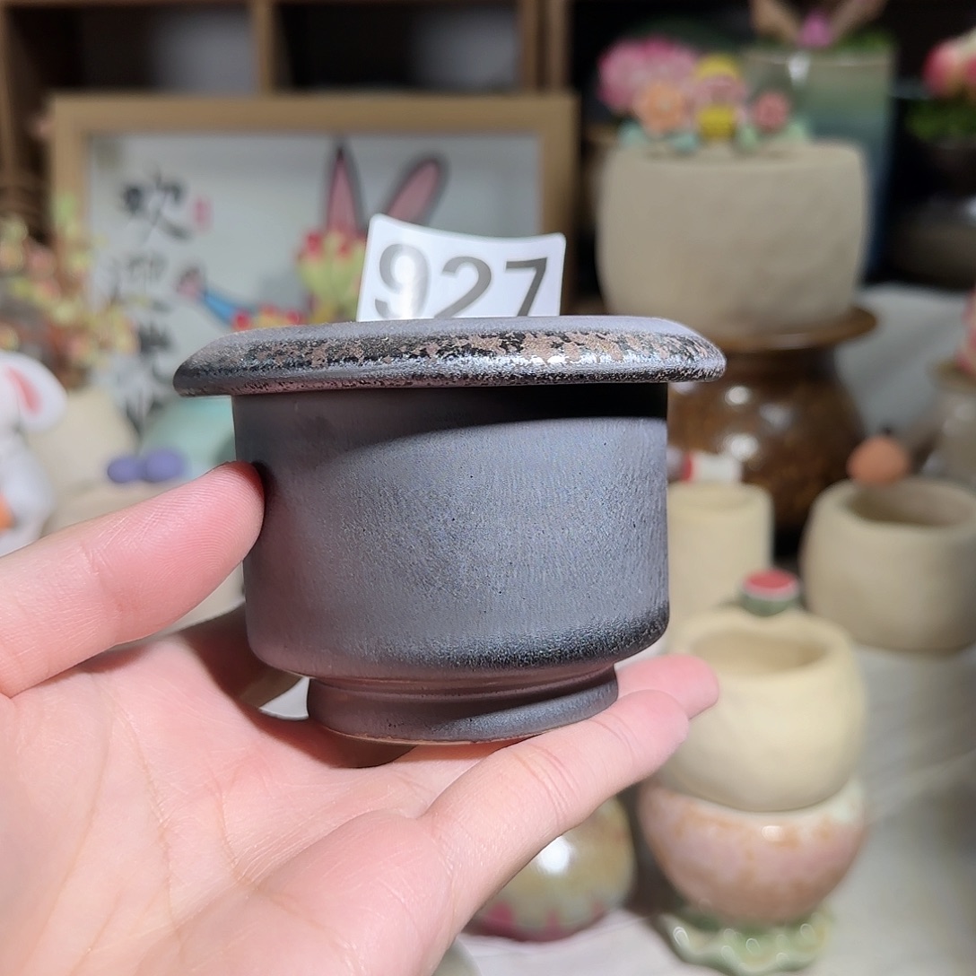 927 口6 福利特惠 非偏远两单包邮