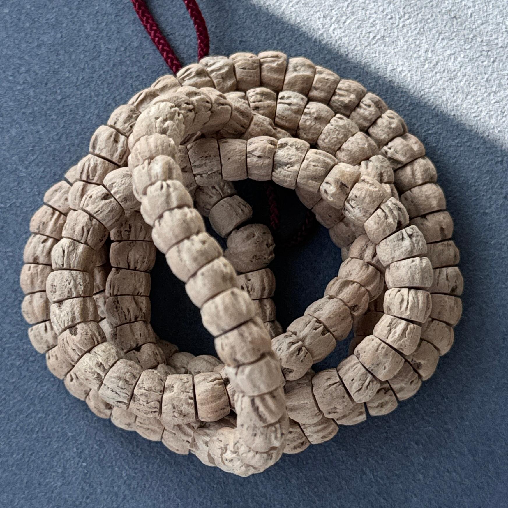 热振柏香籽顺纹鬼脸粉油皮斜切猪大肠百香籽大角度斜切大肠