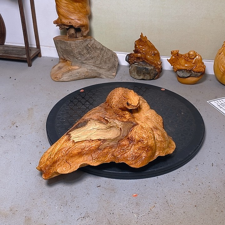 柏木（崖柏）张*锋太行大峡谷崖柏