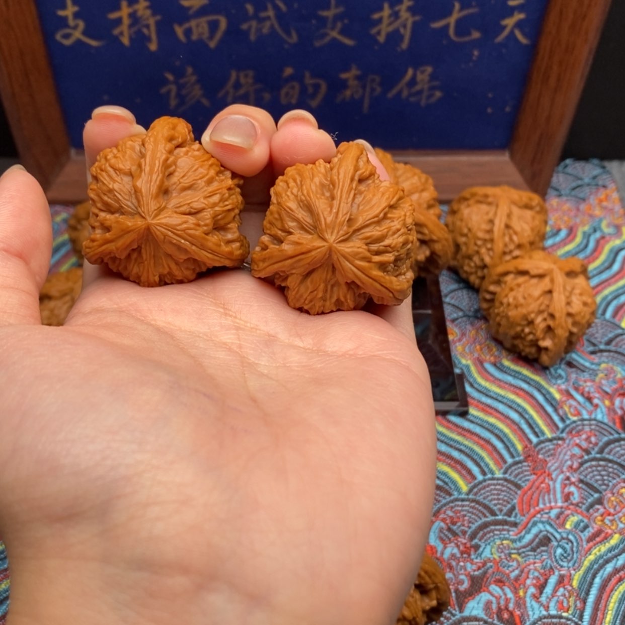 【闪购商品】关*白狮