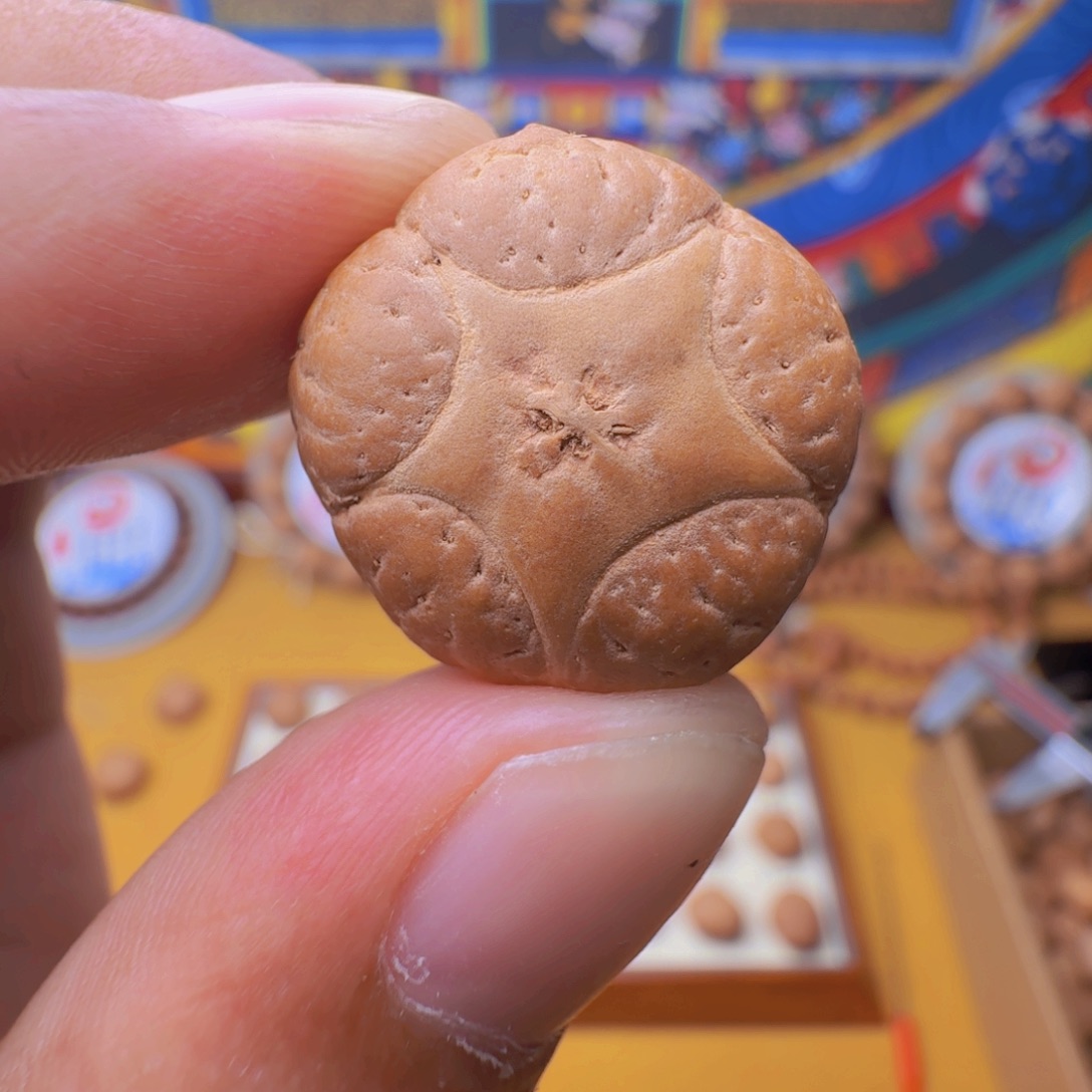 宝***六21.7梅花五星，一物一图