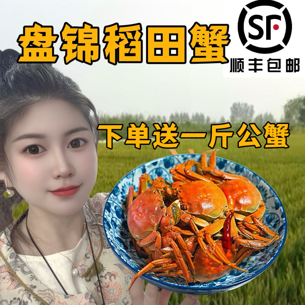 盘锦河蟹【活蟹】1-1.3两全母3斤（29只左右）在送1斤1-1.5两公