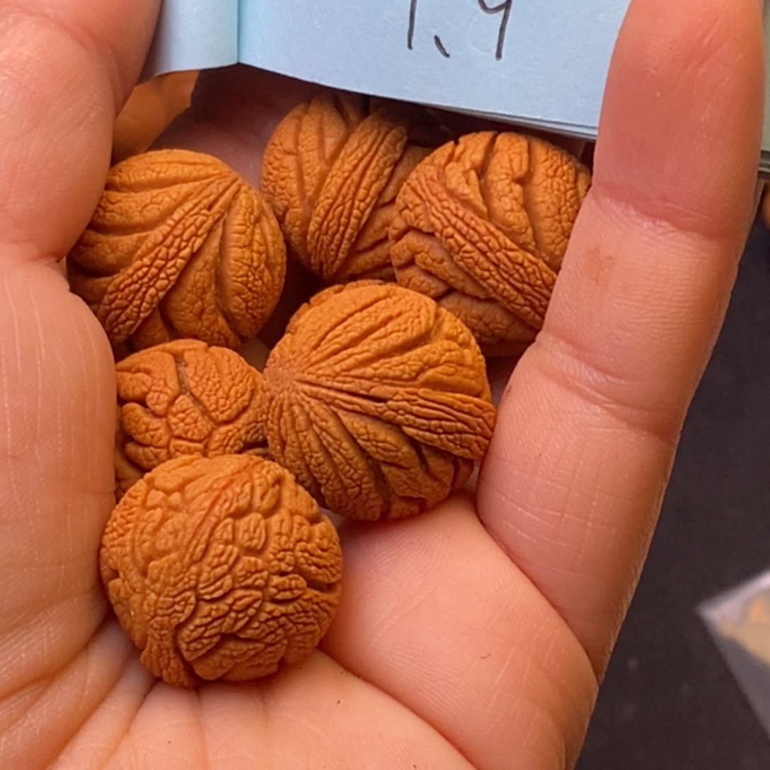 秦岭龙纹桃核14颗
