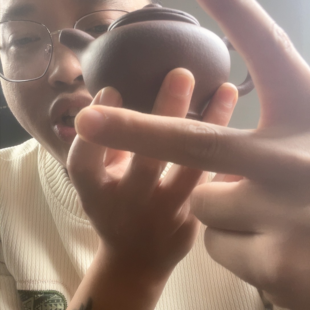 茶壶紫砂李丹底槽清全手掇只