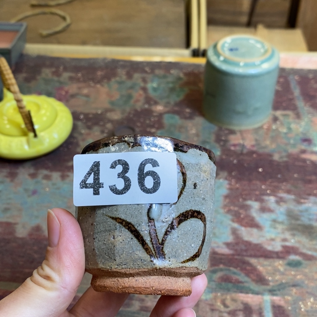 杯各种各样不同杯杯