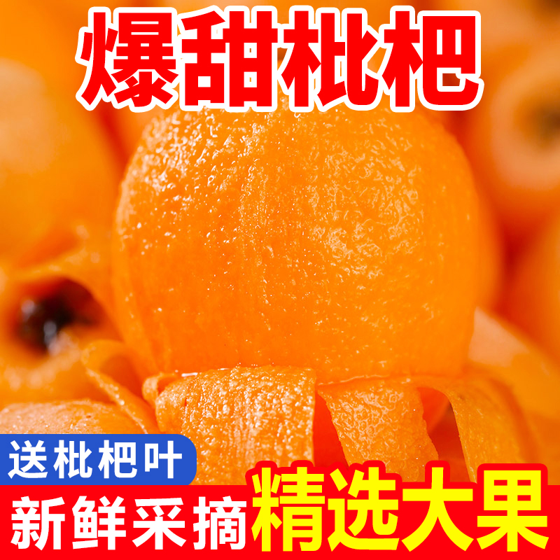 四川米易大五星枇杷新鲜水果枇杷果当季现摘攀枝花高山甜琵琶批把