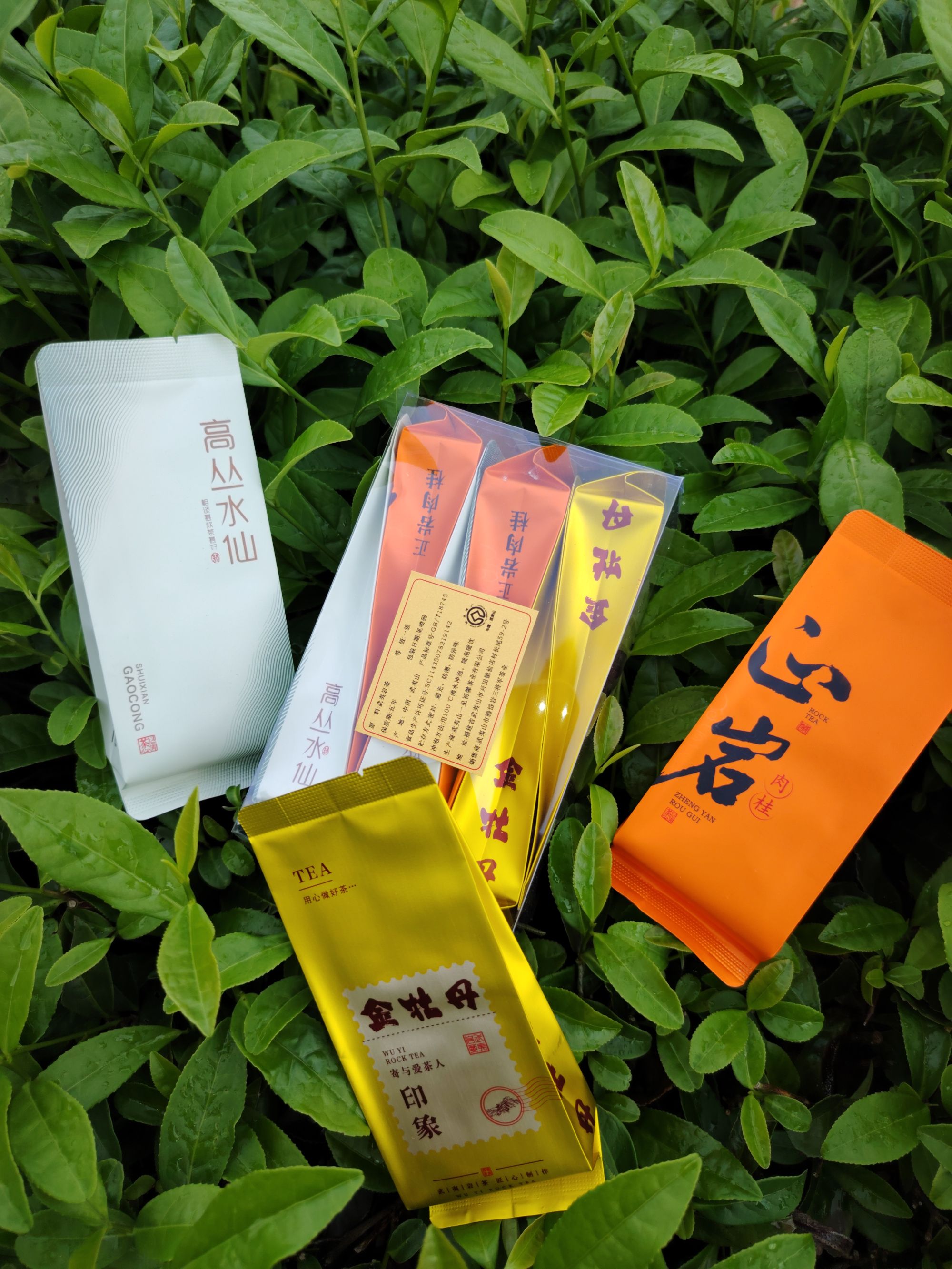 武夷岩茶组合一盒6泡装