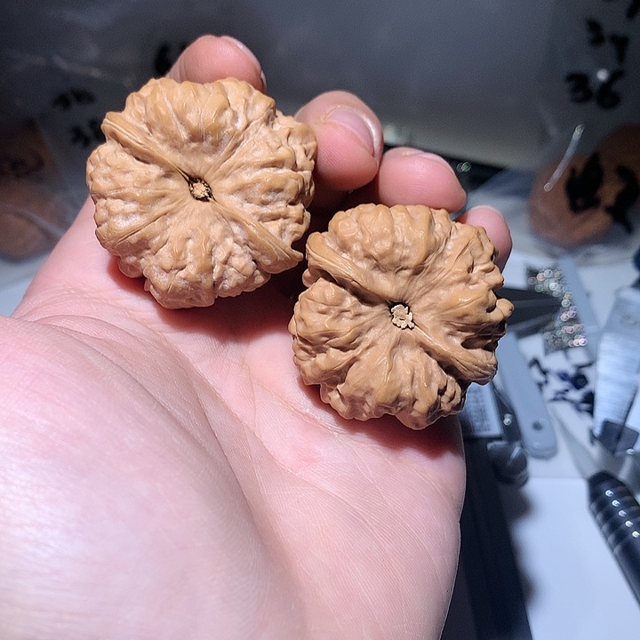 文玩核桃把件40尺寸30号