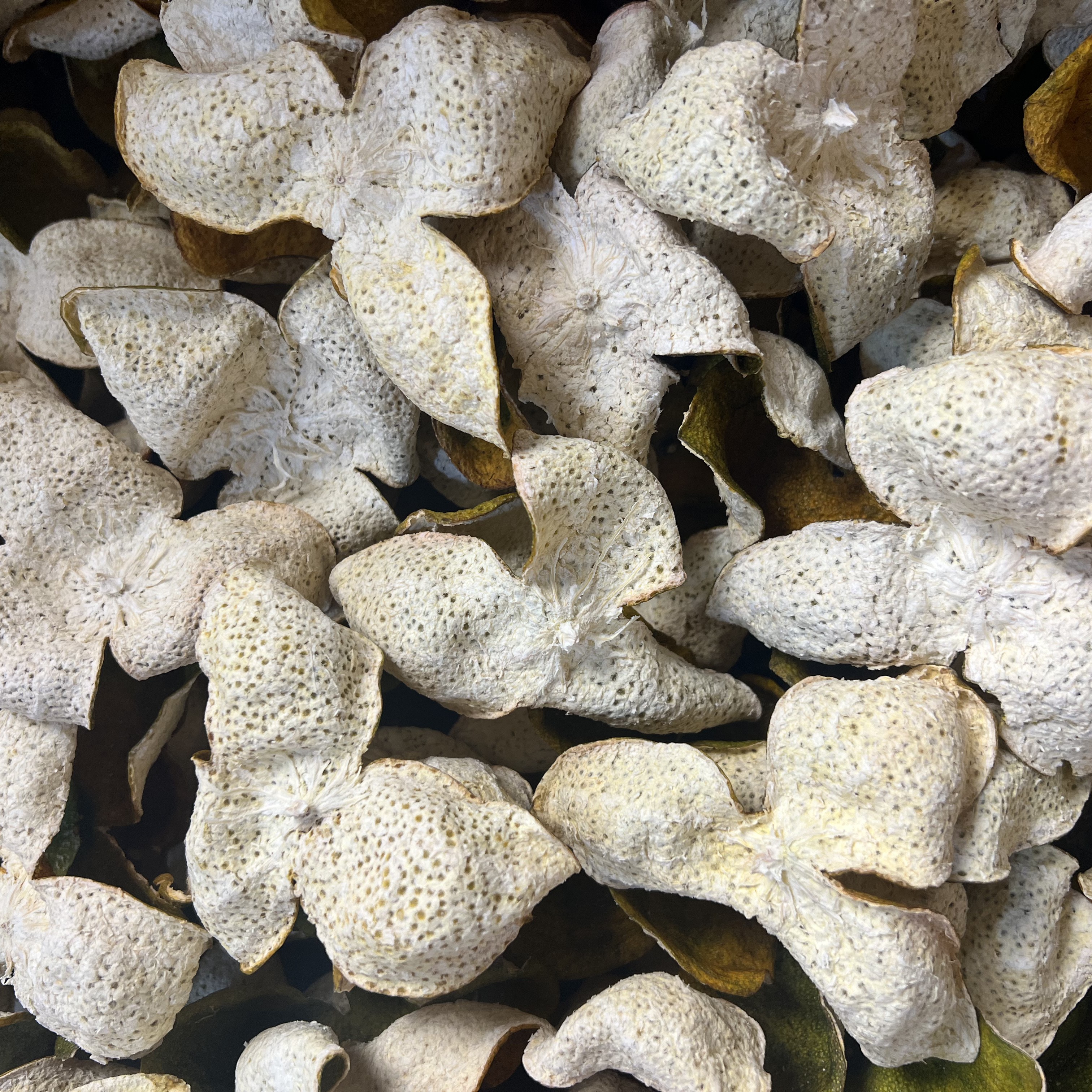 2025年老树二红新会陈皮原枝二红皮自然晾晒花蜜香甜层次丰富