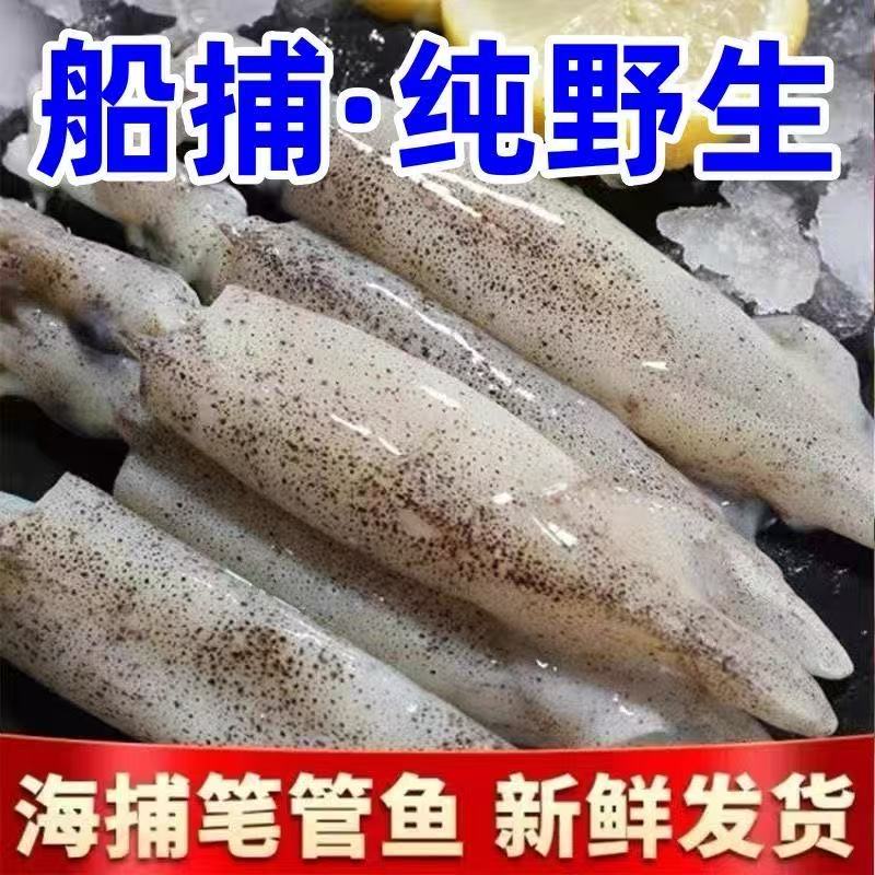 [4斤]新鲜海兔 海鲜水产鲜活生鲜 毛管鱼 乌鱼墨鱼冷冻小管鱿鱼