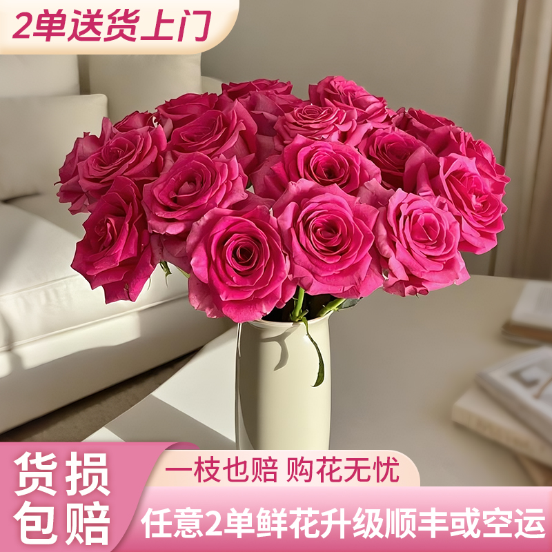 【源头优选】弗洛伊德/元旦预热 任意2单升级快递发货后不支持退款