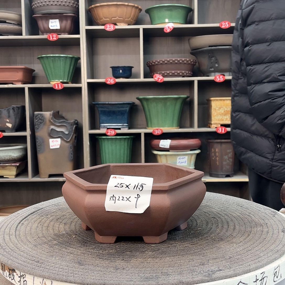 紫砂花盆！紫砂花是世界