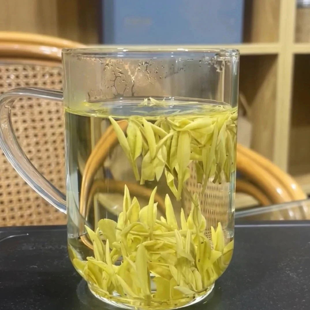 原产地2025年新茶奶白黄金芽支持试喝