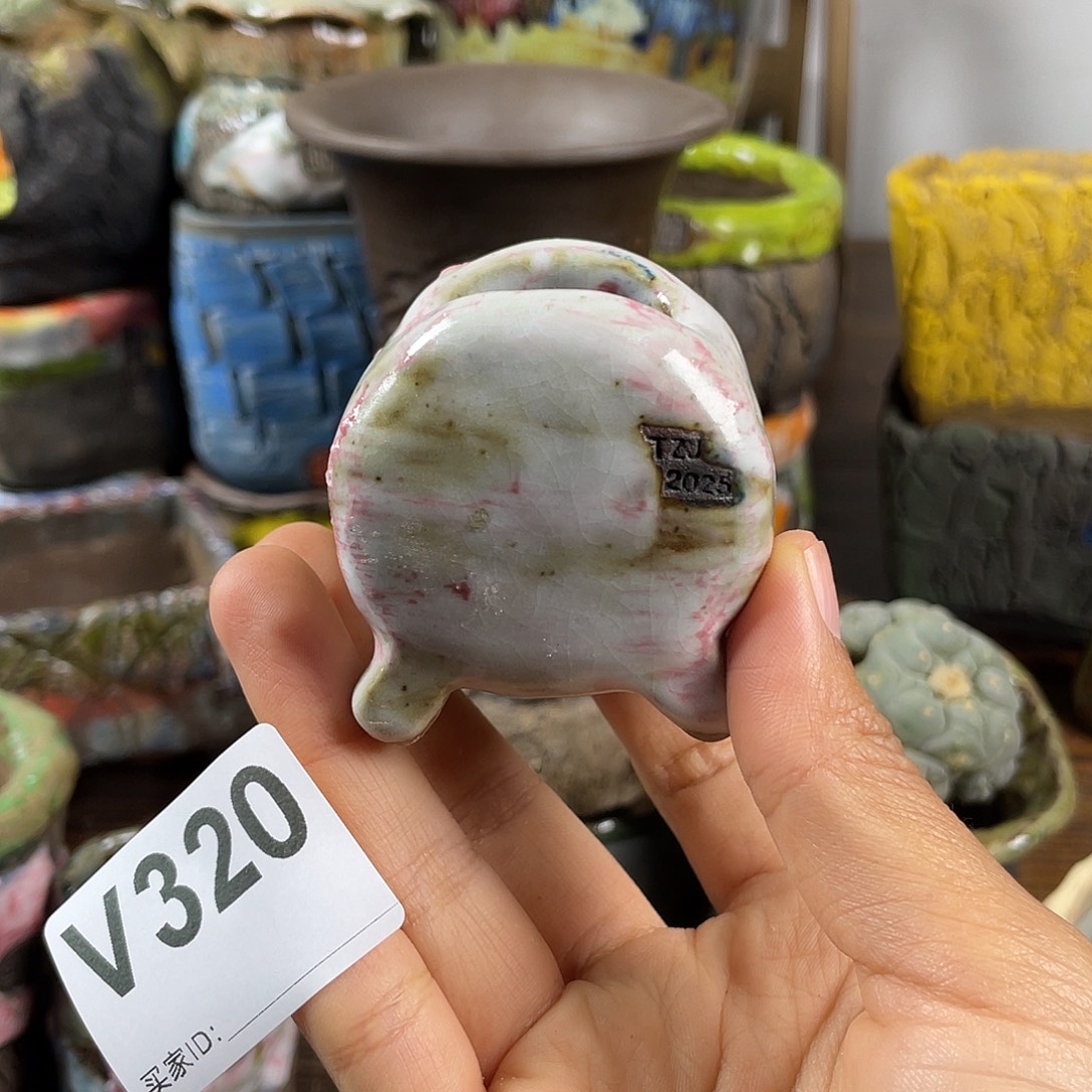 默认微次  限时福利 坛子姐花盆