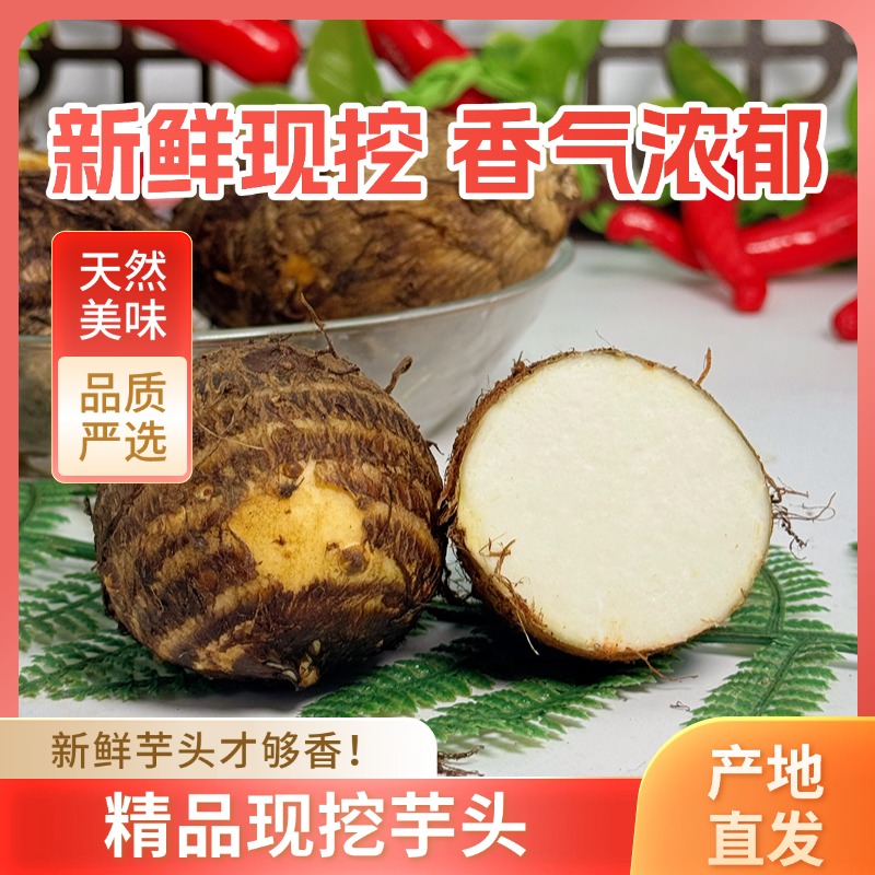 云南高山新鲜牛奶小芋头软糯香甜口感细腻的当季蔬菜