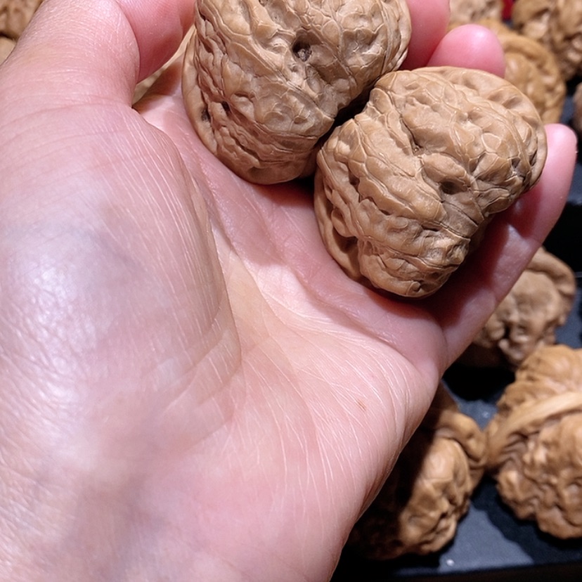 【闪购商品】核桃手串/手链边45肚47蛤蟆头