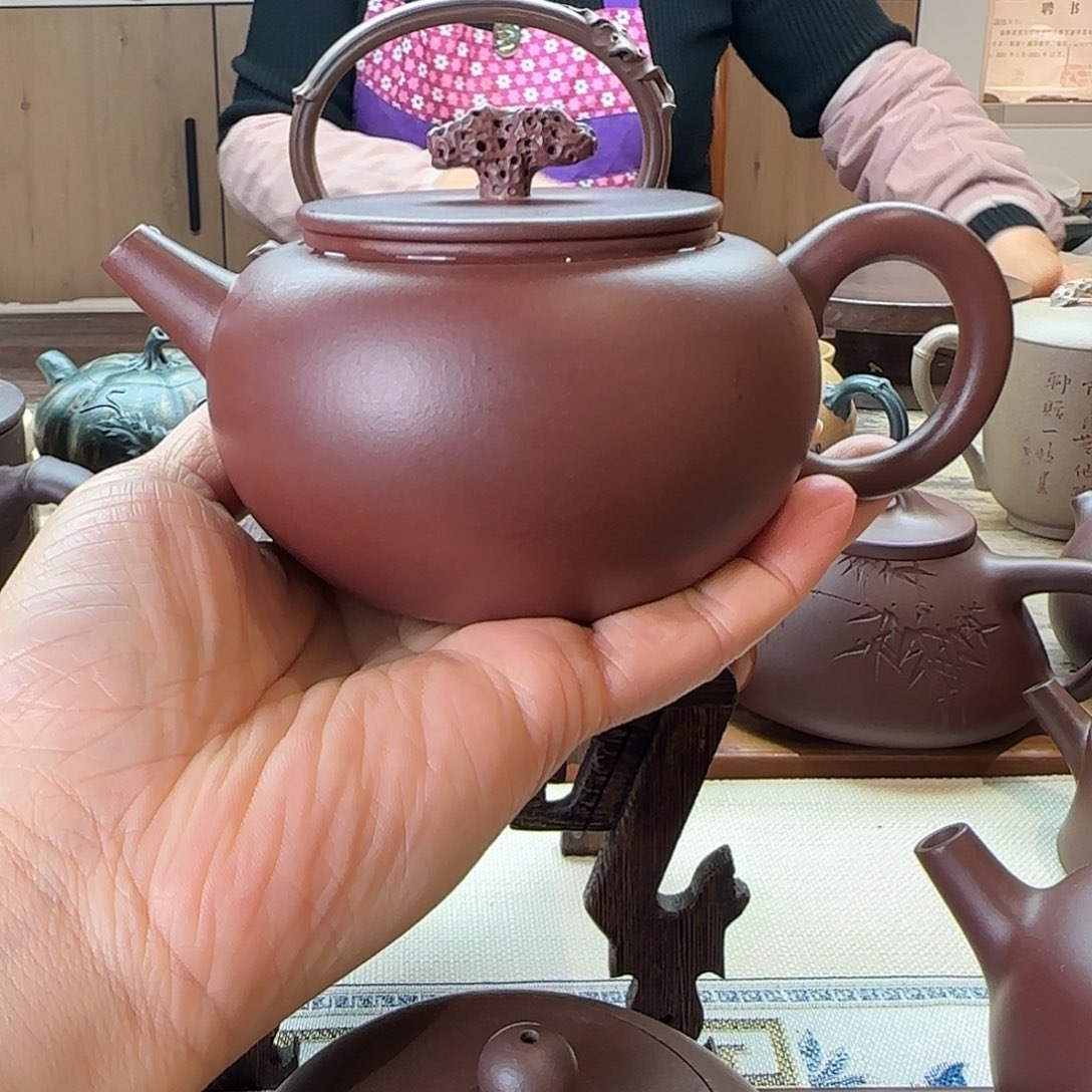 紫砂茶壶芥***菌你值得拥有
