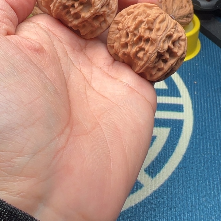 桃核吊坠文玩核桃天地