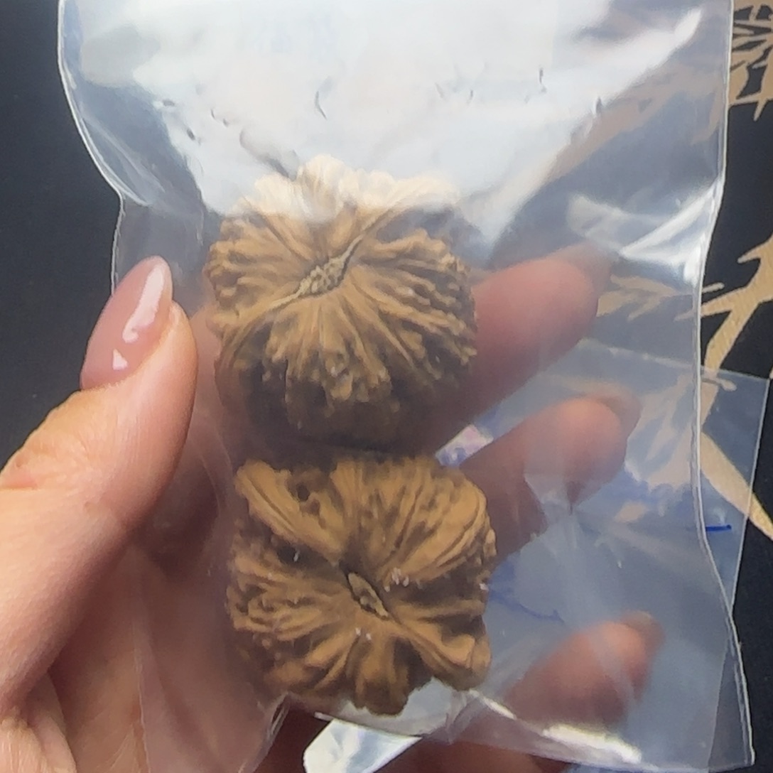 静***你大叶紫檀（黑酸枝木类）