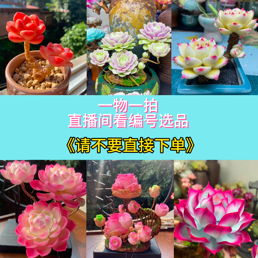 手工黏土仿真多肉成品工艺品客厅办公室摆件永生多肉（非真多肉）