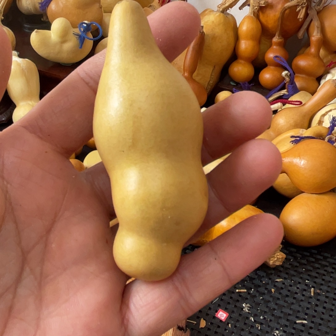 知***乐葫芦葫哈哈哈哈哈哈