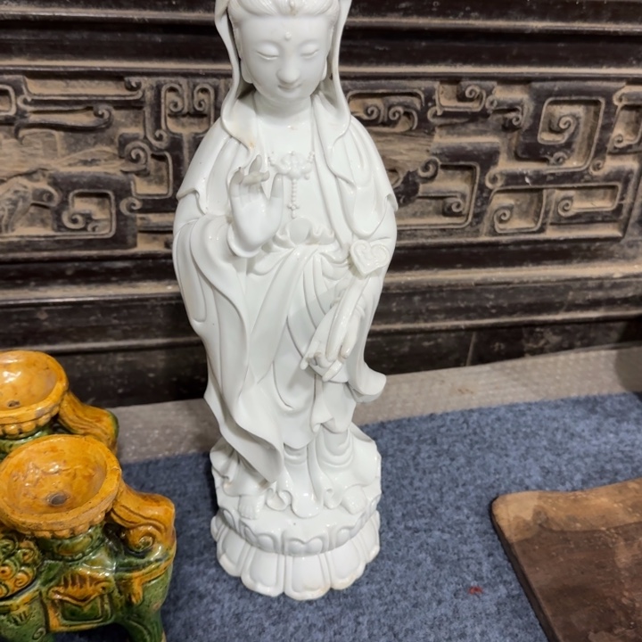 粤****》花，，，，，，，，，。。