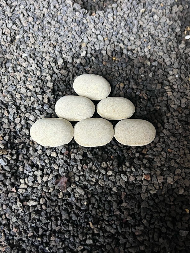 【臻选推荐】小飞碟。十粒体验装
